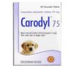 Carodyl, Carprofen 75 mg box