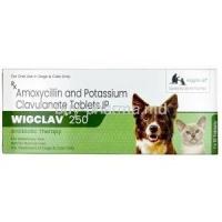 Wigclav for pet, Amoxycillin/ Clavulanic Acid