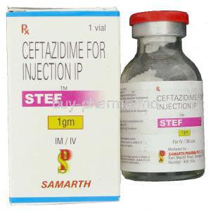 Stef,  Ceftazidime 1 Gm Injection