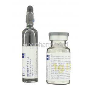 Rocephin  Ceftriaxone  Vial, Ampule