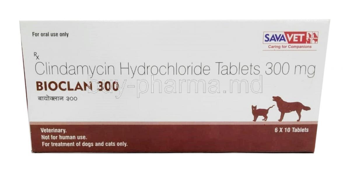 Bioclan 300mg for Dog and Cat , Clindamycin 300mg, Sava Vet, Box side view-2