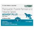 Kiwof Plus Easy Chews, Praziquantel 50mg, Pyrantel Pamoate 144mg, Febantel 150mg Box