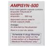 Ampisyn, Generic Omnipen, Ampicillin 500 mg Capsule Composition