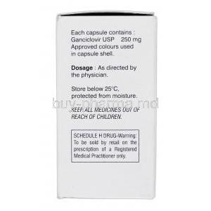 Ganguard, Generic Cytovene, Ganciclovir, 250 mg, Box Description