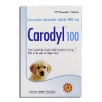 Generic Rimadyl, Carprofen 100 mg box