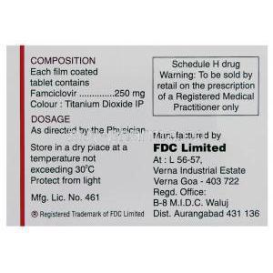 Generic  Famvir, Famciclovir 250 mg composition