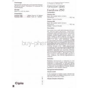 Generic  Famvir, Famciclovir 250 mg information sheet