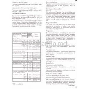 Generic  Famvir, Famciclovir 250 mg information sheet 2