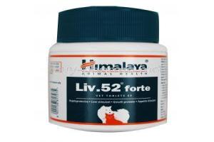 LIV 52 Forte