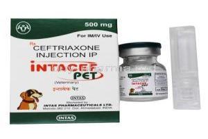 Intacef Injection for Pets, Ceftriaxone