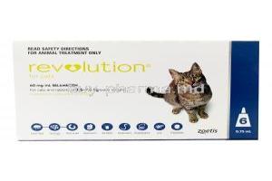 Revolution for Cats & Rabbits