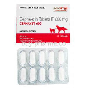 Cephavet, Cephalexin, 600mg, 1x 10 tabs, Antibiotic Therapy, SavaVet, for oral use in dogs and cats, box and blister pack front presentation
