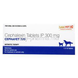 Cephavet, Cephalexin, 300mg, 1x 10 tabs, Antibiotic Therapy, SavaVet, for oral use in dogs and cats, box front presentation Cephavet 300