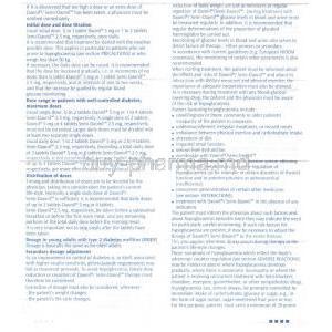 Semidaonil, Generic Glyburide, Glibenclamide Information Sheet 2