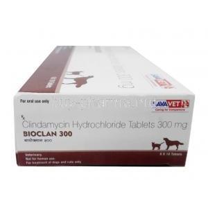 Bioclan 300mg for Dog and Cat , Clindamycin 300mg, Sava Vet, Box side view-1