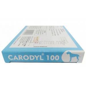 Carodyl 100, Carprofen 100 mg, 6 tablets, Sava Vet, Box side view