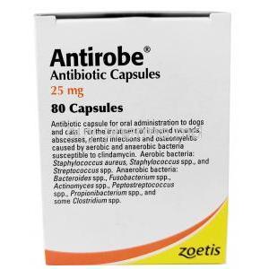 Antirobe For Dogs and Cats, Clindamycin 25 mg, Zoetis Australia, Box information, Ingredients