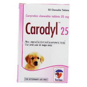 Carodyl, Carprofen 25 Mg For Dog