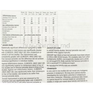 Clindoxyl Once Daily Gel information sheet 5