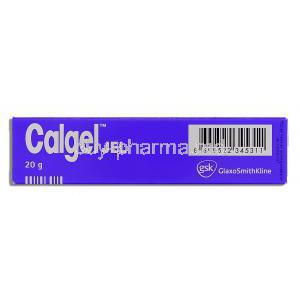 Calgel Gel Lidocaine 0.33% 20 gm