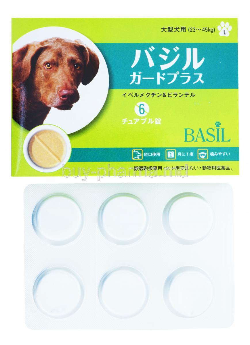 Basil Gard Plus Chocochew For Dogs, Ivermectin / Pyrantel Chocochew, Large dog, 23-45Kg, Basil, box and blister pack front packaging