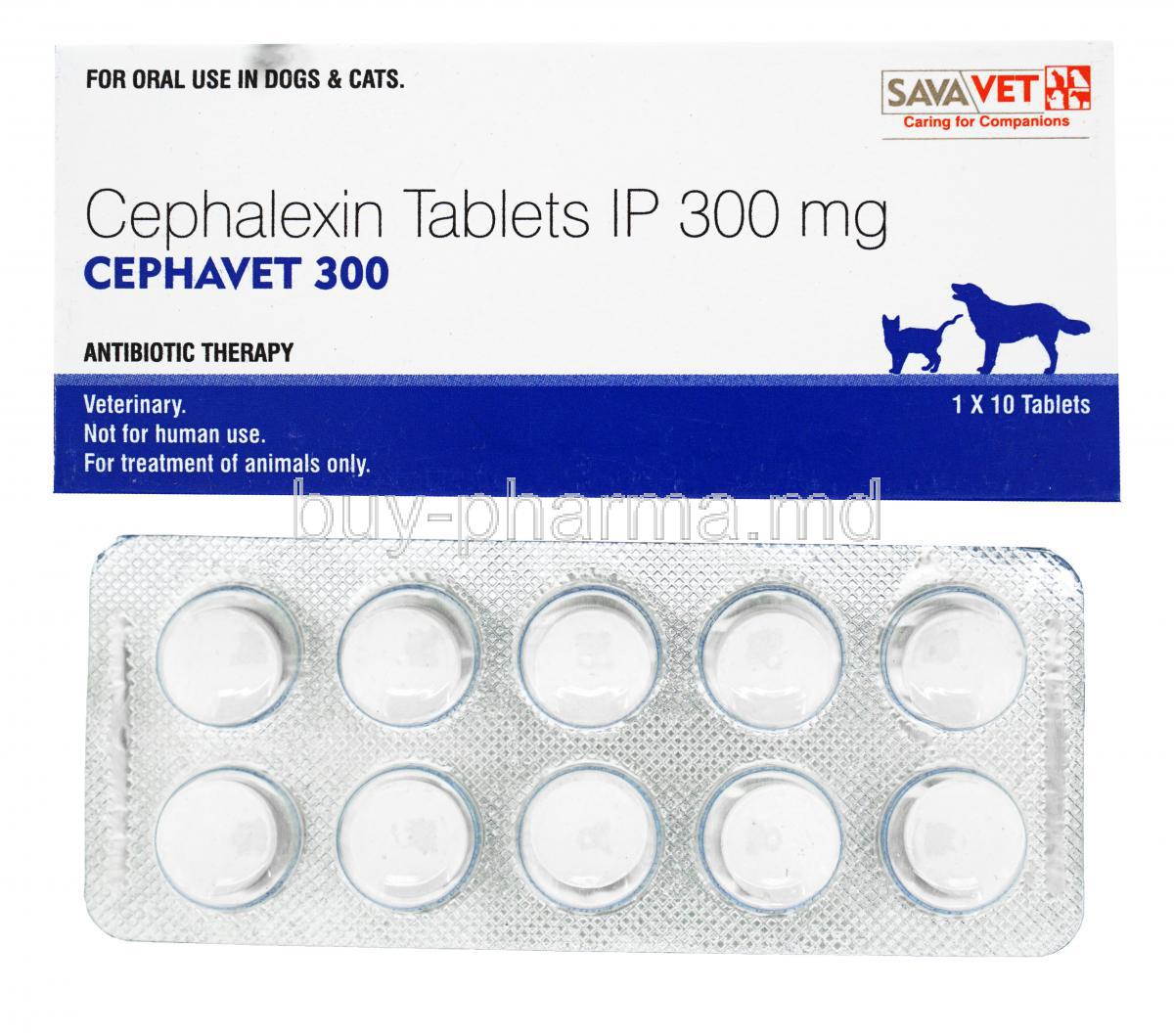 Cephavet, Cephalexin, 300mg, 1x 10 tabs, Antibiotic Therapy, SavaVet, for oral use in dogs and cats, box and blister pack front presentation Cephavet 300