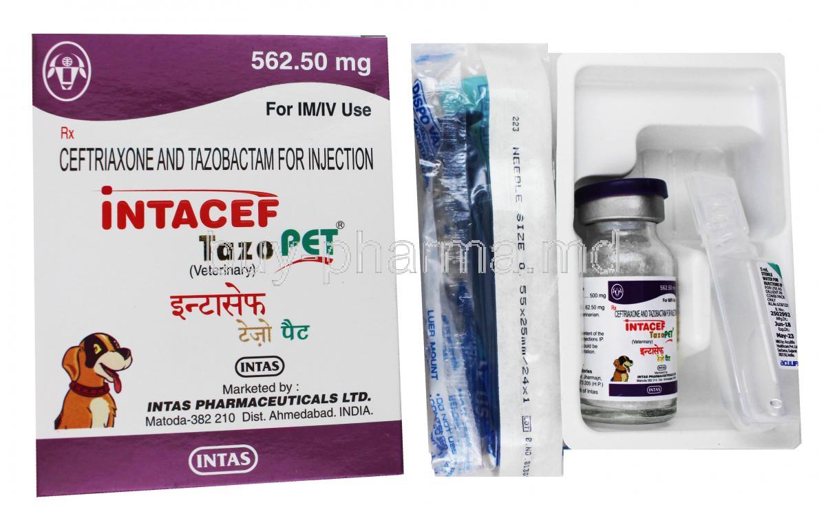 Intacef Tazo Injection for Pets box and vial