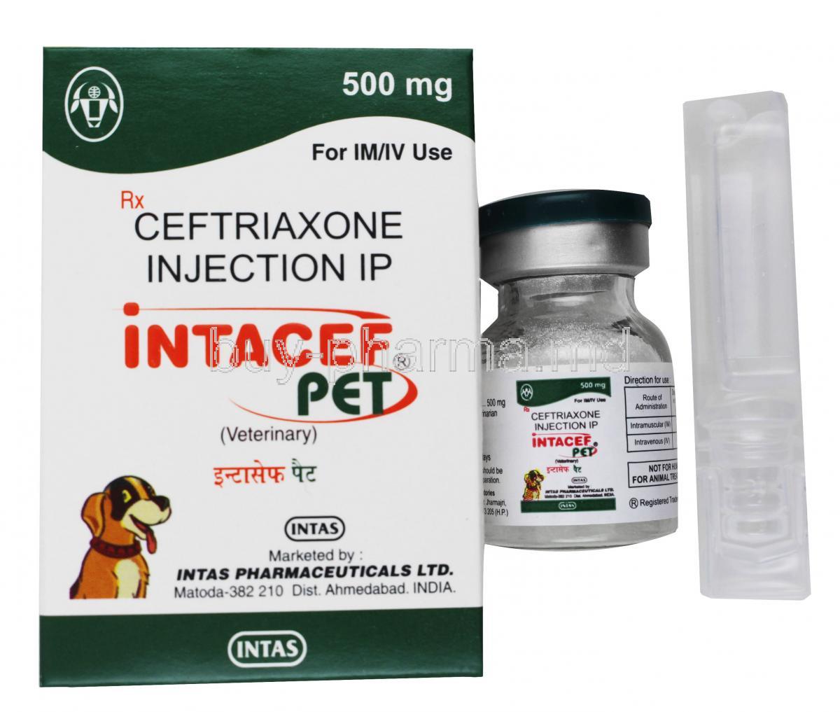 Intacef Tazo Injection for Pets box and vial