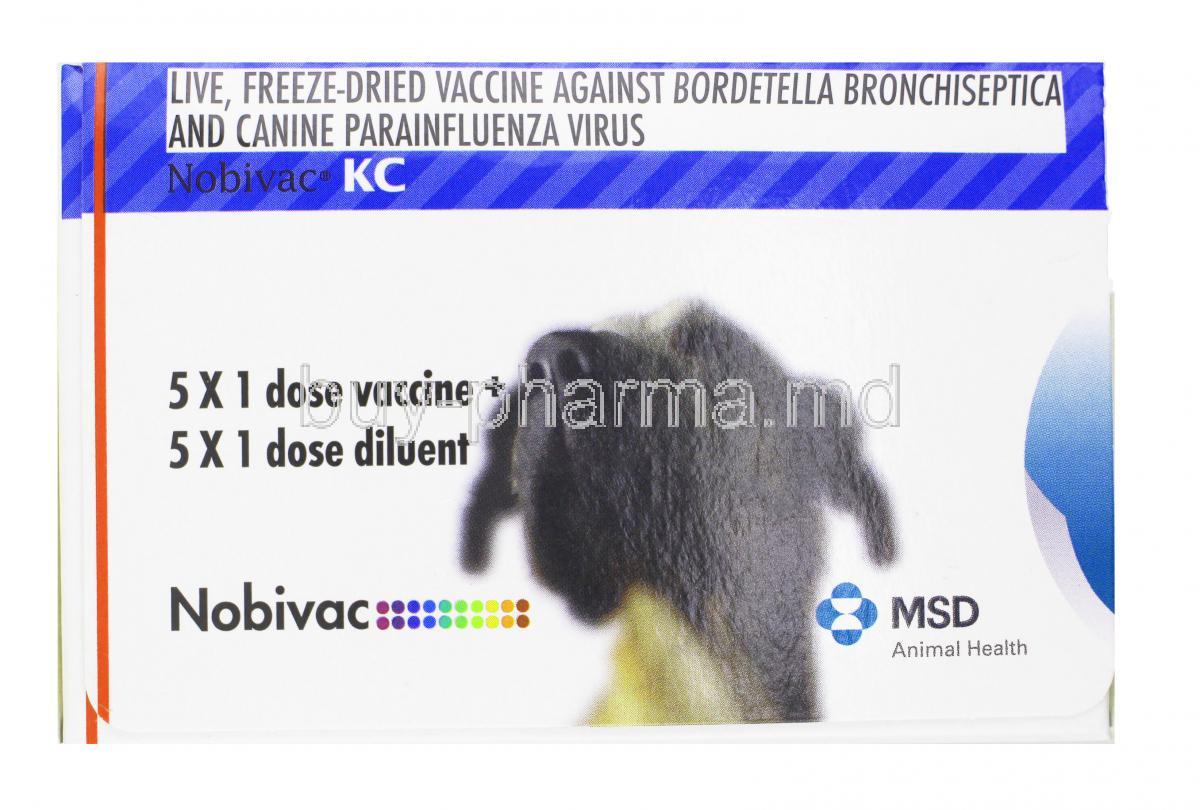 NOBIVAC KC Vaccine for bordetella bronchiseptica and canine parainfluenza virus, 1dose, Box surface　