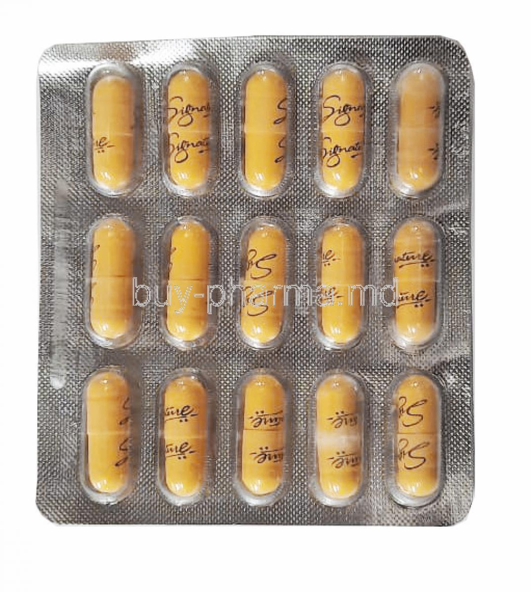 Zylomox, Amoxycillin 500mg capsule