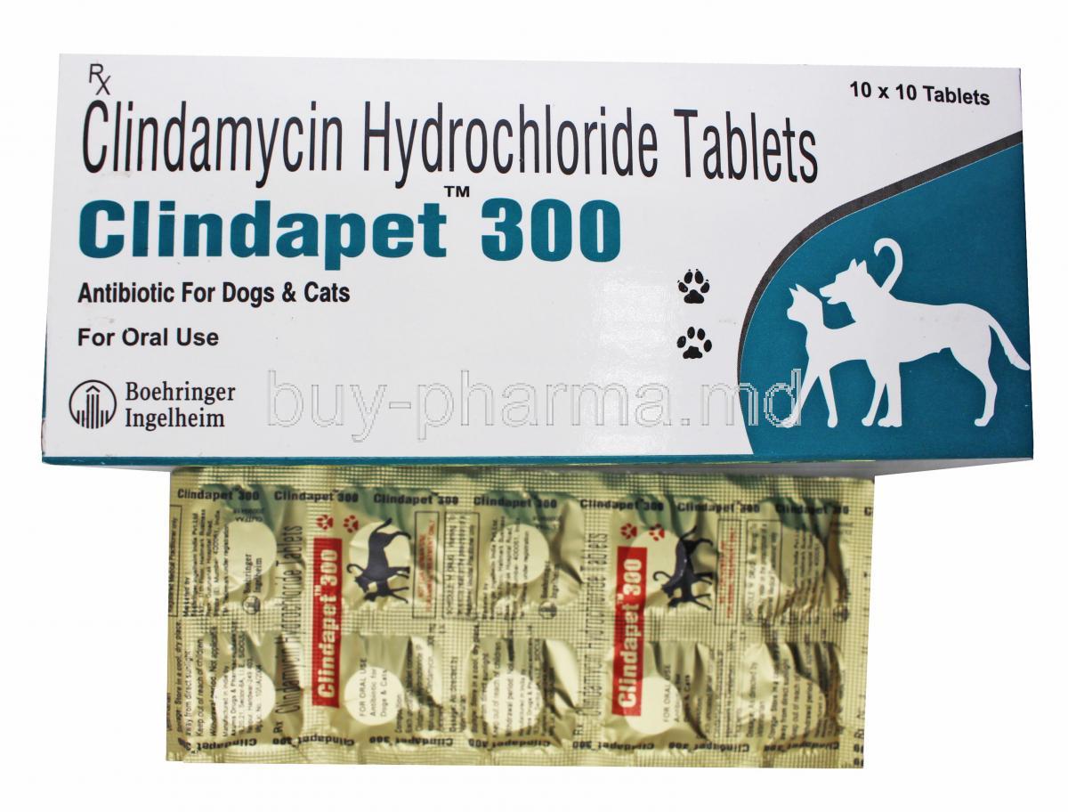 Clindapet for Dogs and Cats 300mg box adn tablets