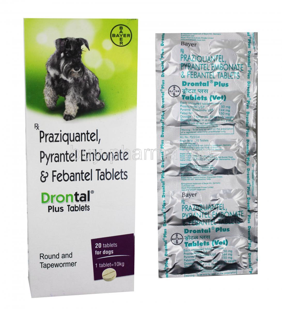 bayer drontal plus flavour