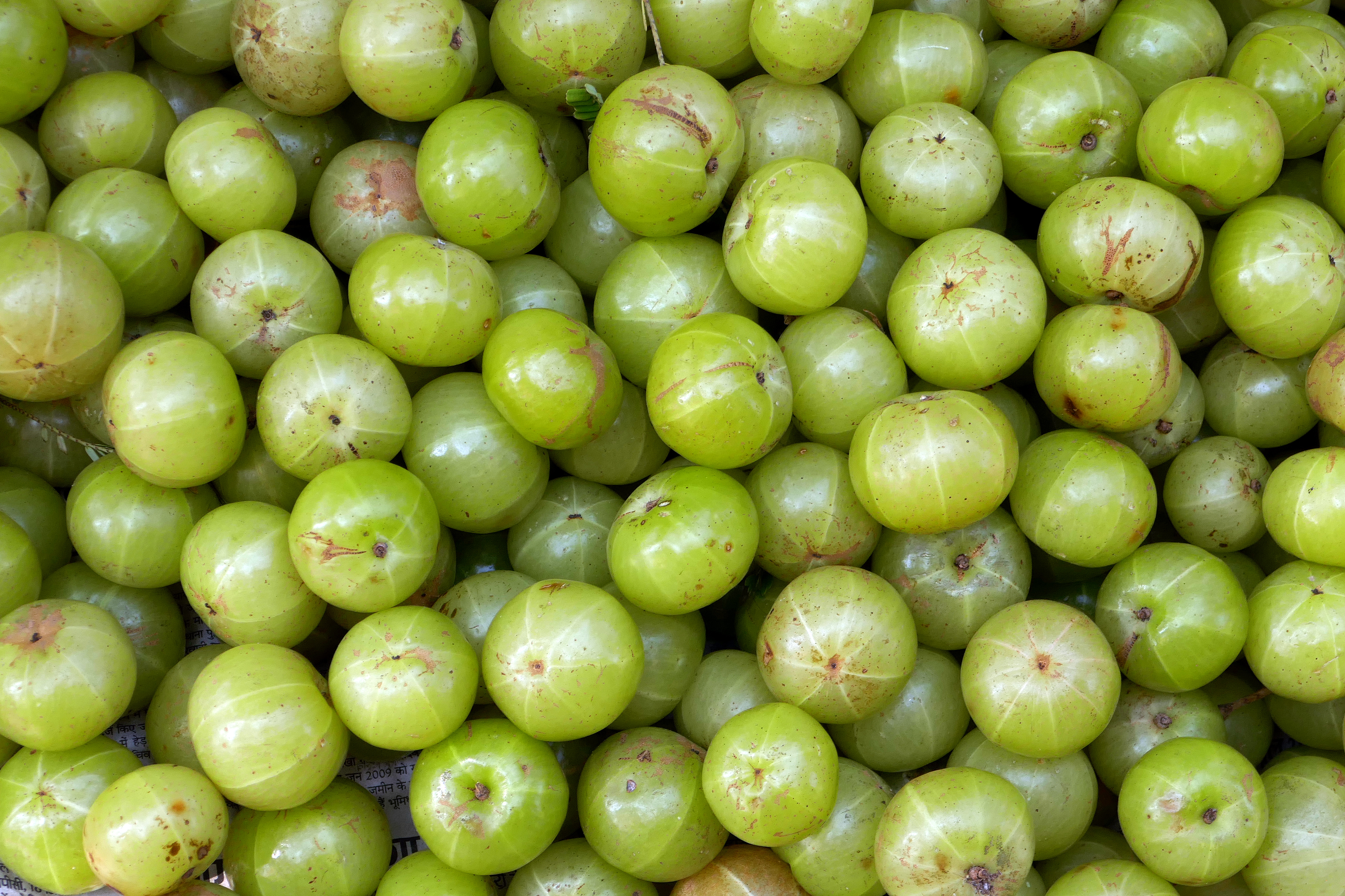 Triphala