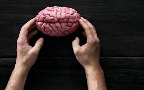 brain on hand
