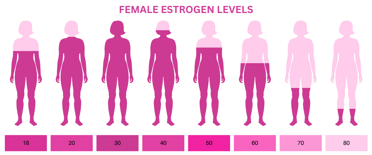 estrogen levels in different ages