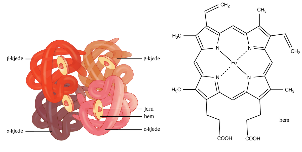 bilirubin chemical form