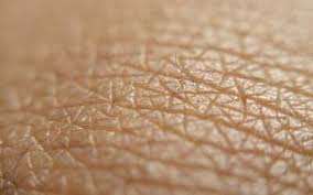 closeup of skin