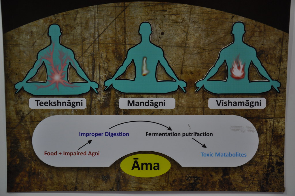 3 Ayurveda