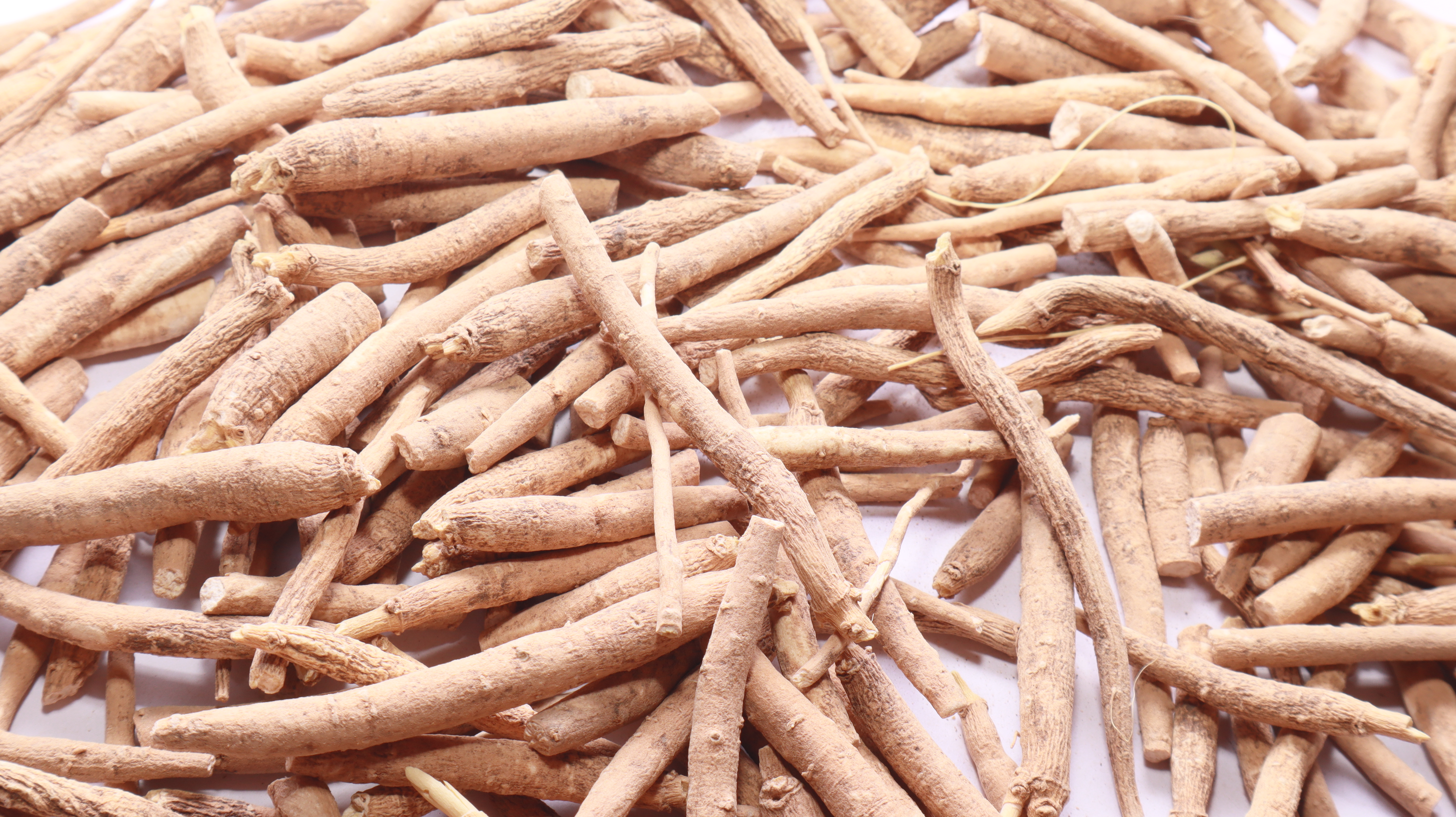 ashwagandha root