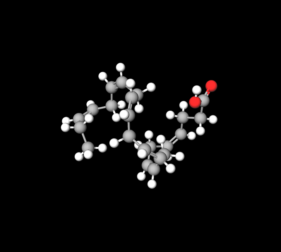 Docosahexaenoic Acid