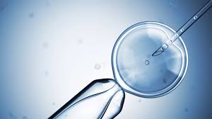assisted reproductive technology