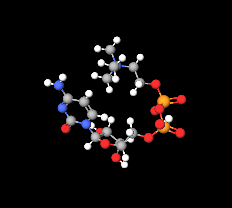 Citicoline molecule