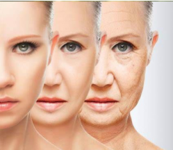 aging from young to old