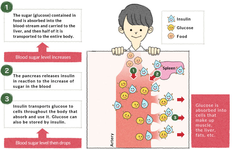 rise in blood sugar 
