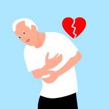 person holding heart 