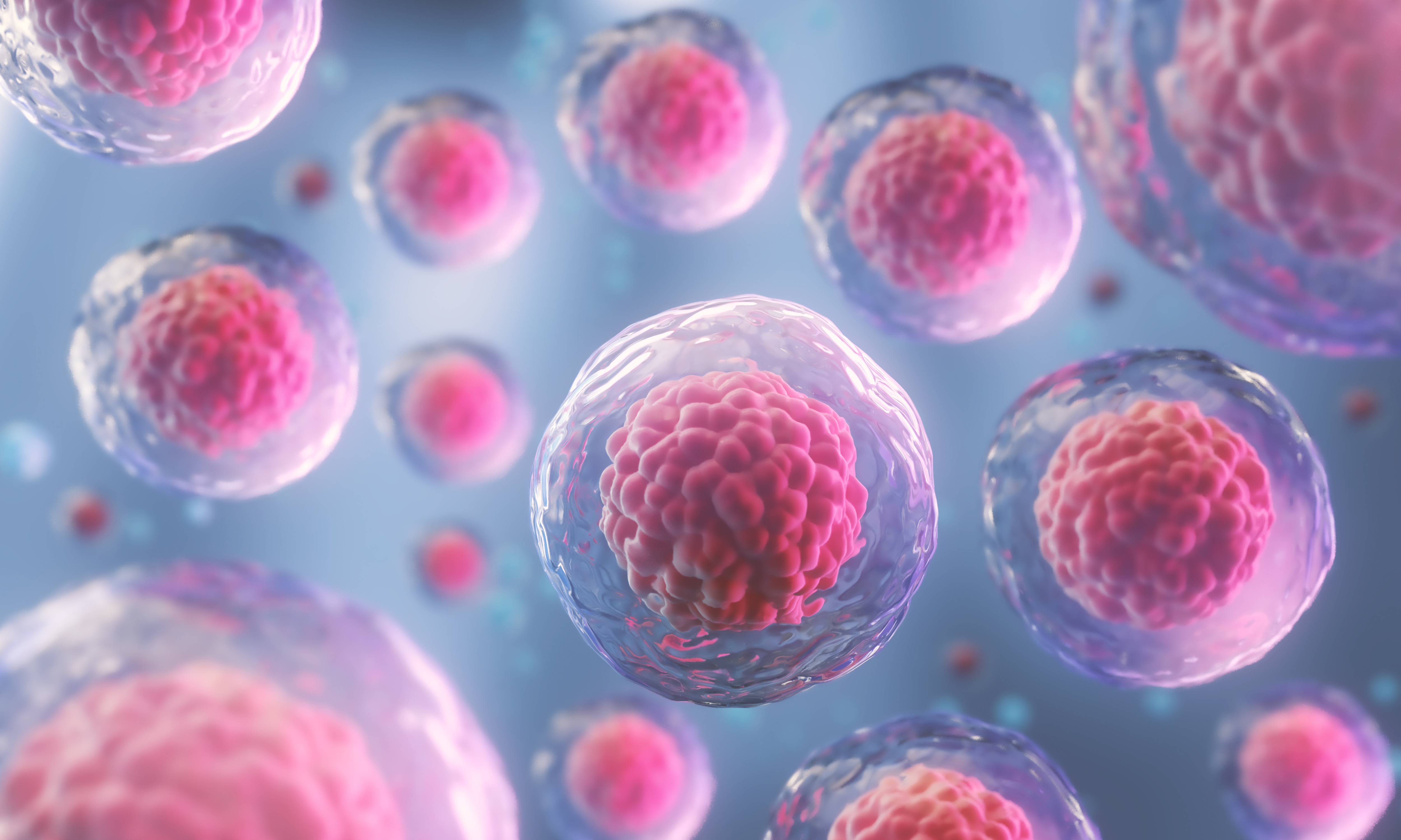 cancer cell