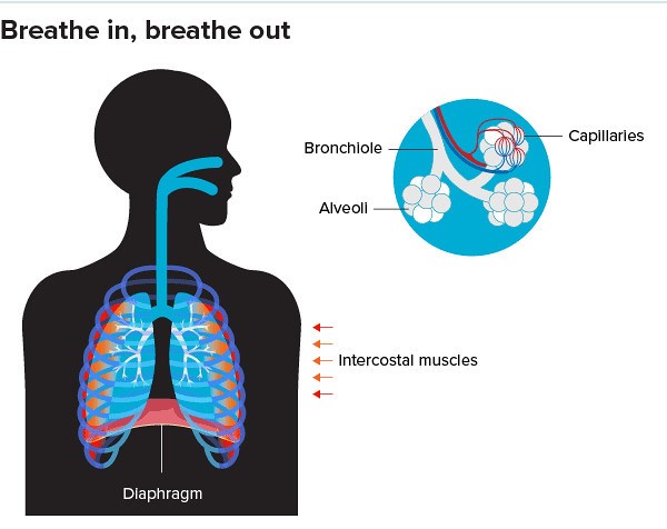 breathing