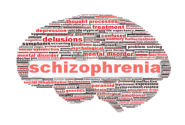 schizophrenia brain