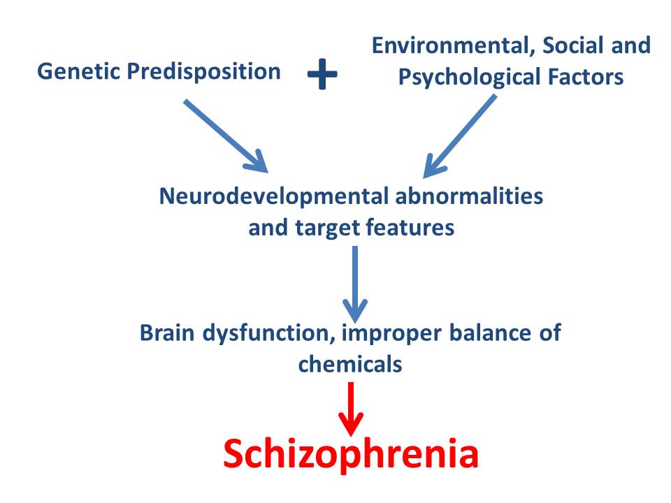 schizophrenia