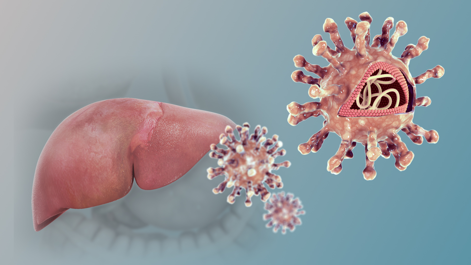 hepatitis
